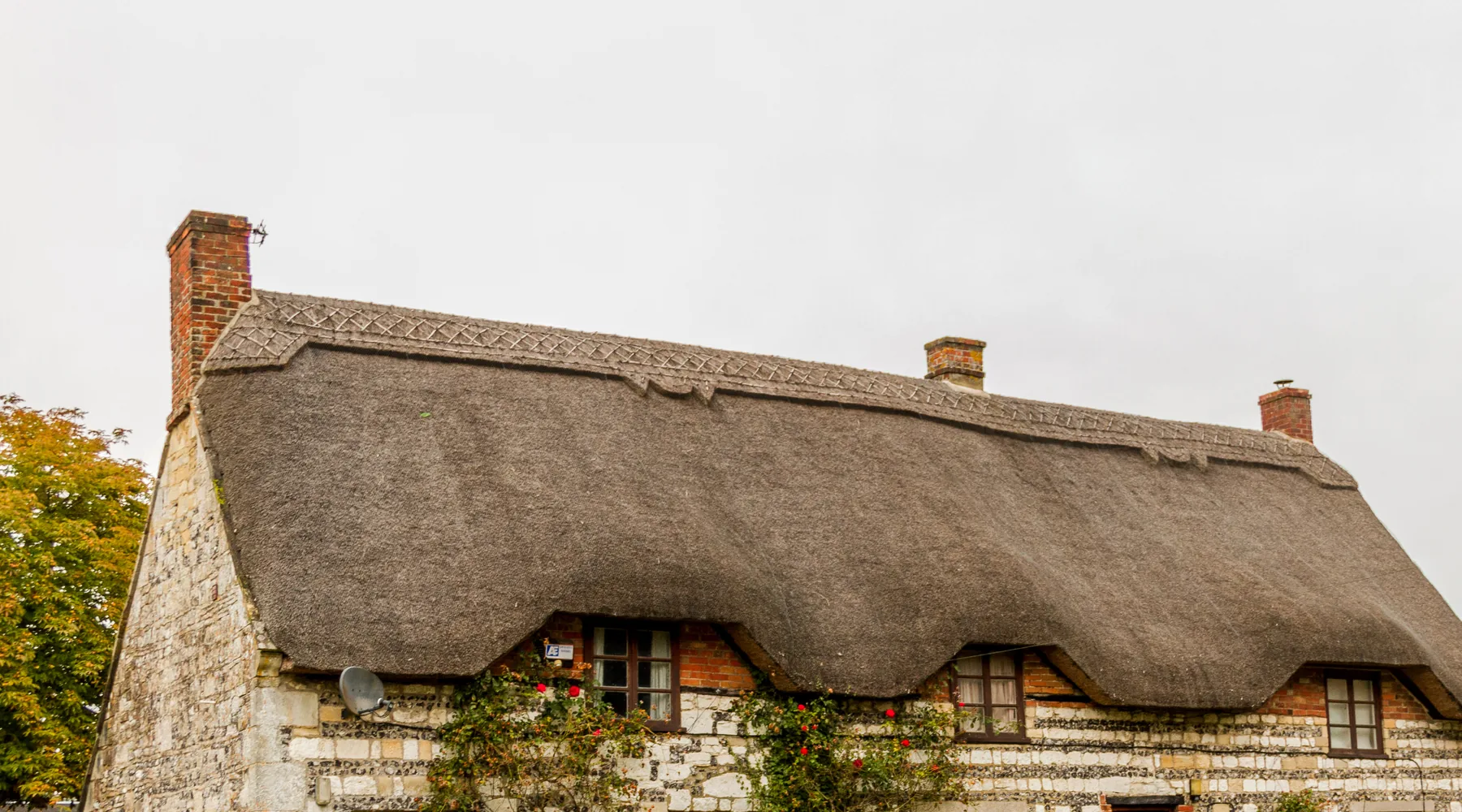 Thatched cottage and garden